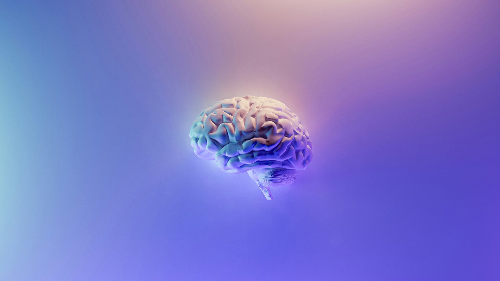 A blue and purple artistic rendering of a brain