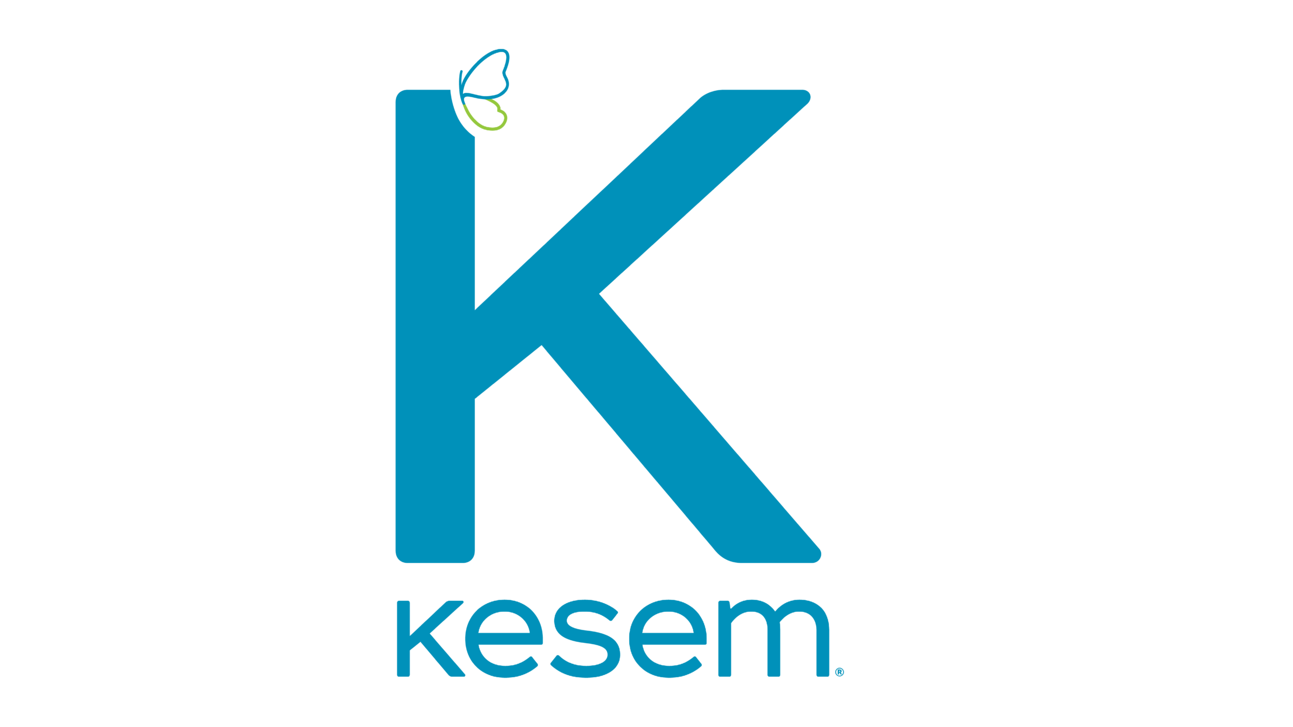 Kesem logo